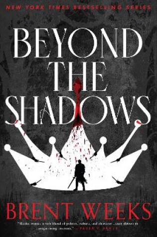 Cover of Beyond The Shadows