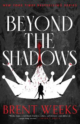 Book cover for Beyond The Shadows