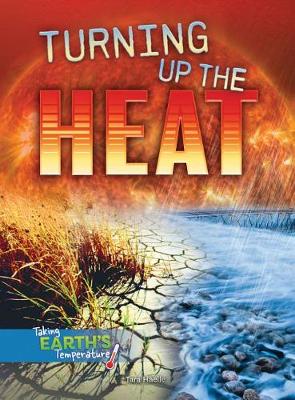 Book cover for Turning Up the Heat