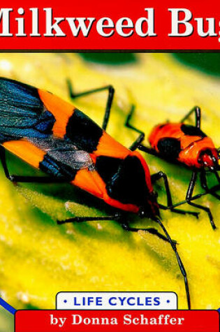 Cover of Milkweed Bugs