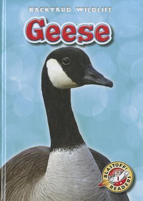 Book cover for Geese