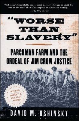 Book cover for Worse Than Slavery
