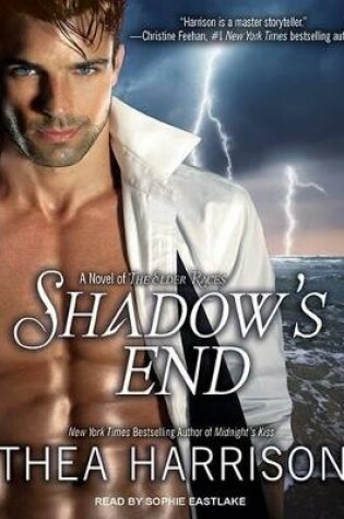 Cover of Shadow's End