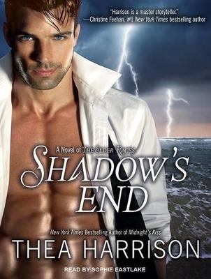 Book cover for Shadow's End