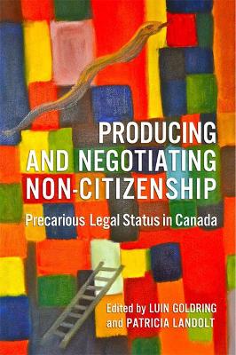 Book cover for Producing and Negotiating Non-Citizenship