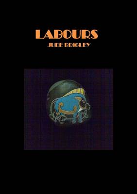 Book cover for Labours