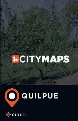 Book cover for City Maps Quilpue Chile