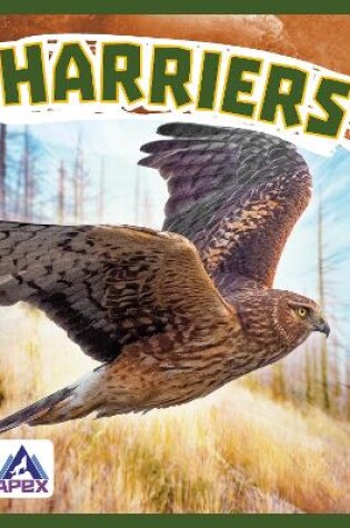 Cover of Birds of Prey: Harriers