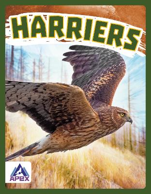 Book cover for Birds of Prey: Harriers