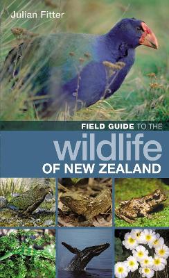 Book cover for Field Guide to the Wildlife of New Zealand