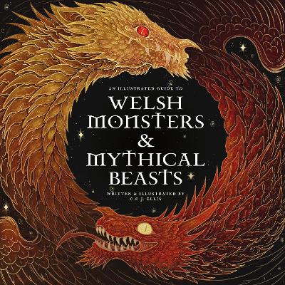 Book cover for Welsh Monsters & Mythical Beasts