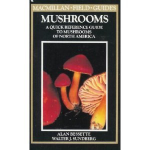 Book cover for Macmillan Field Guide to Mushrooms of North Americ A