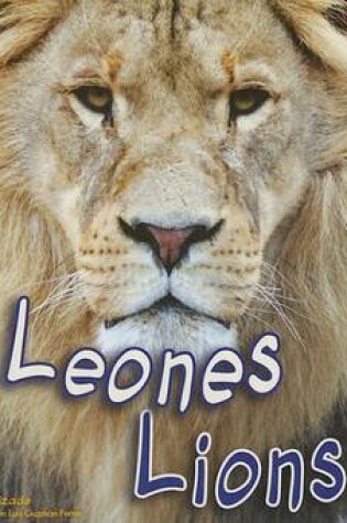 Cover of Leones/Lions