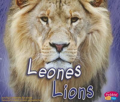 Cover of Leones/Lions