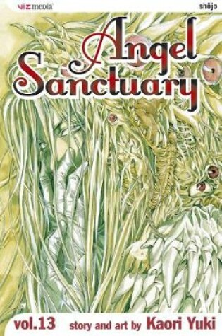 Cover of Angel Sanctuary, Vol. 13