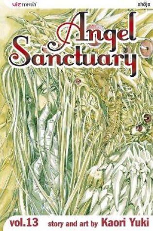 Cover of Angel Sanctuary, Vol. 13