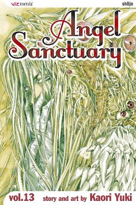 Cover of Angel Sanctuary, Vol. 13