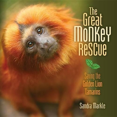 Book cover for The Great Monkey Rescue