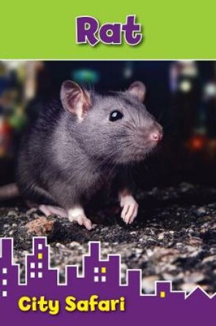 Cover of Rat