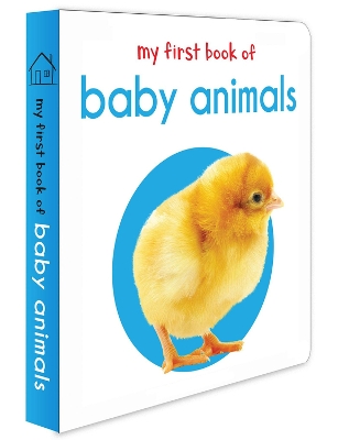 Book cover for My First Book of Baby Animals