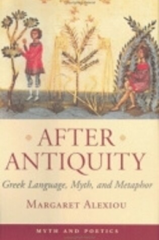 Cover of After Antiquity