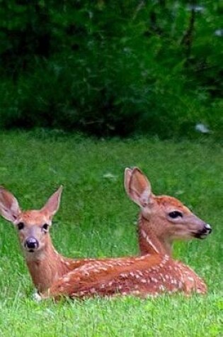 Cover of Two Sweet Fawns in the Meadow Baby Animals Journal