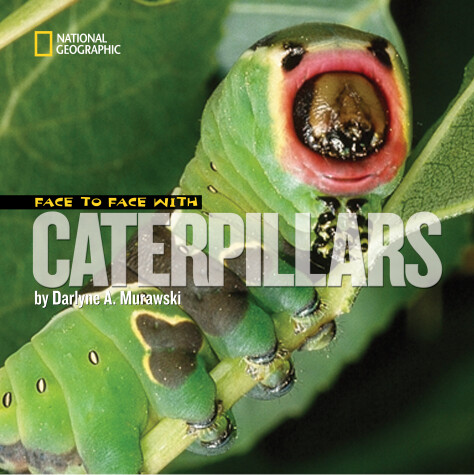 Book cover for Face to Face with Caterpillars