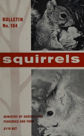 Cover of Squirrels