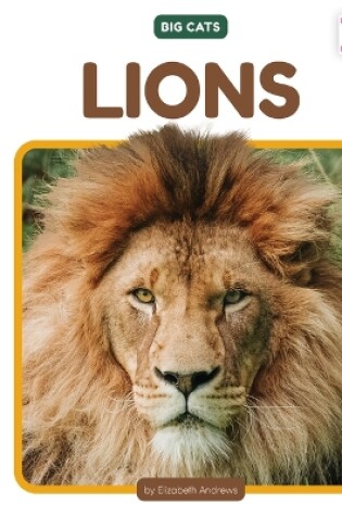 Cover of Lions