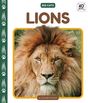 Cover of Lions