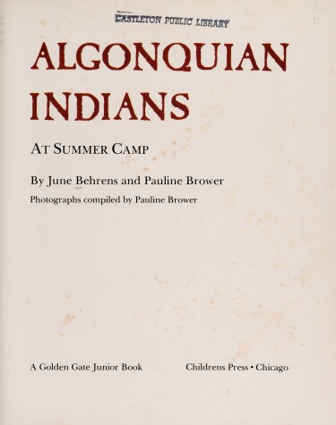 Book cover for Algonquian Indians at Summer Camp