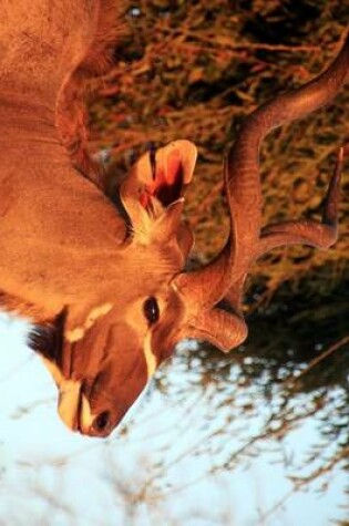 Cover of The Profile of a Large Bull Kudu, for the Love of Animals