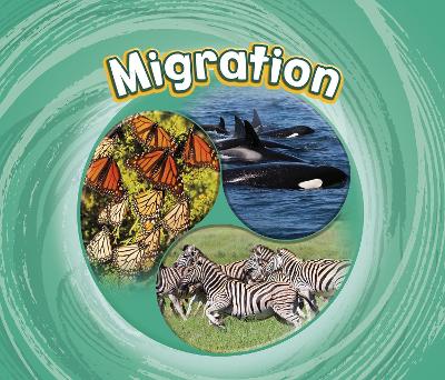 Book cover for Migration