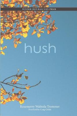 Book cover for hush