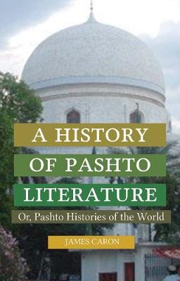 Book cover for A History of Pashto Literature