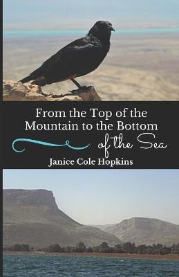 Book cover for From the Top of the Mountain to the Bottom of the Sea