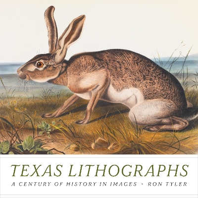 Book cover for Texas Lithographs