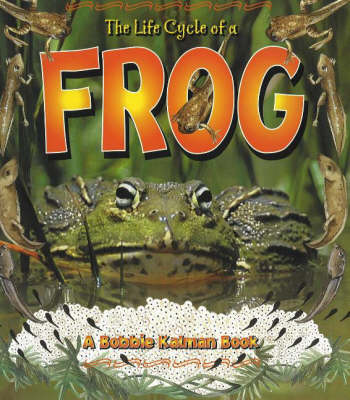 Book cover for The Life Cycle of a Frog