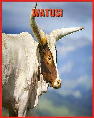 Book cover for Watusi