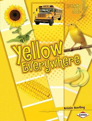 Book cover for Yellow Everywhere