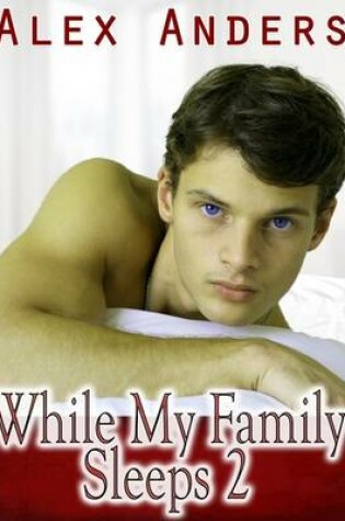 Cover of While My Family Sleeps 2