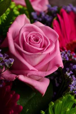 Book cover for A Bouquet of Different Purple Flowers