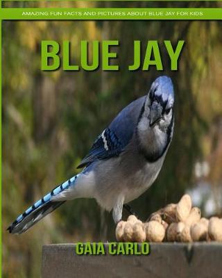 Book cover for Blue Jay