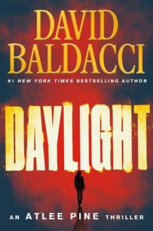 Cover of Daylight