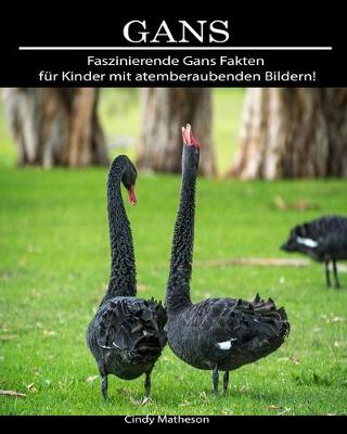 Book cover for Gans