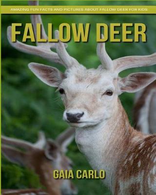 Book cover for Fallow Deer