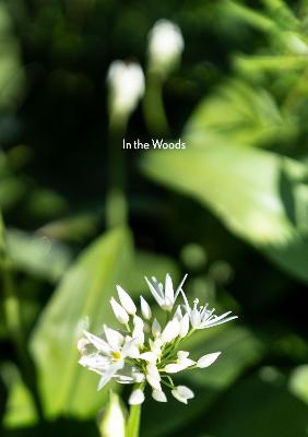 Book cover for In the Woods