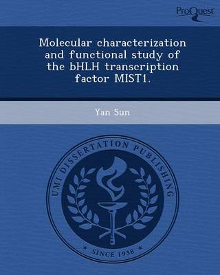 Book cover for Molecular Characterization and Functional Study of the Bhlh Transcription Factor Mist1