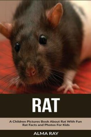 Cover of Rat