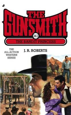 Book cover for The Gunsmith 341